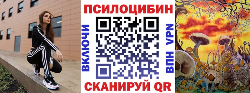 что такое   Ипатово  Псилоцибиновые грибы MAGIC MUSHROOMS 